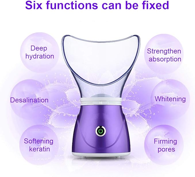 Facial care steamer