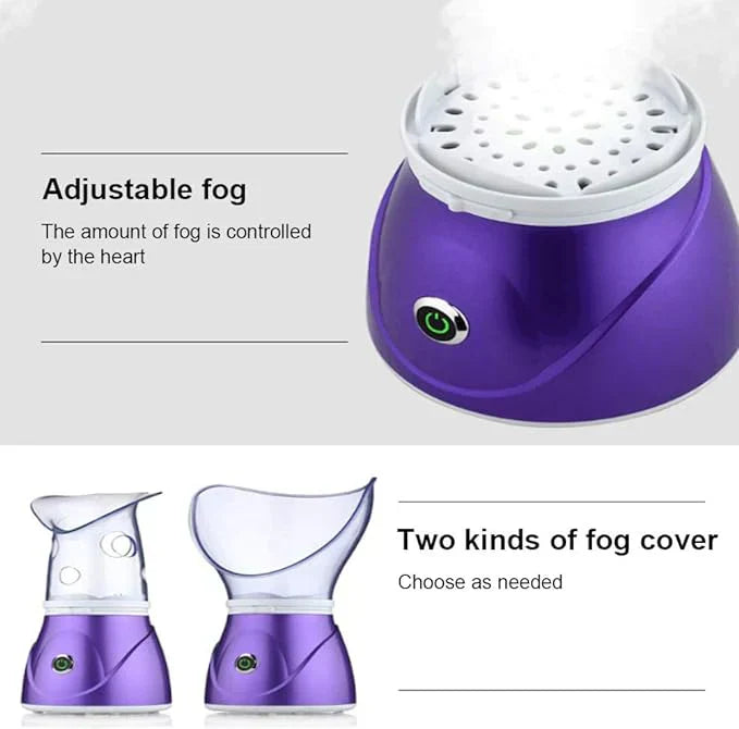 Facial care steamer